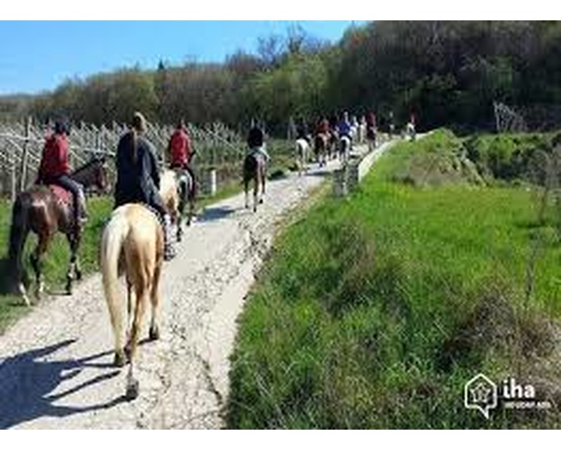 Escursioni a Cavallo